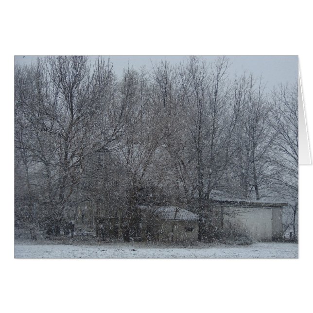 Étoile de neige (Devant horizontal)