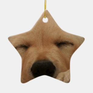 Étoile En Céramique Ornement de golden retriever de sommeil