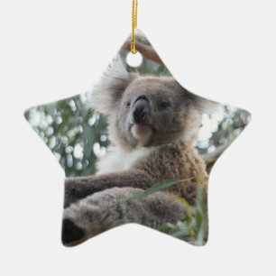 Étoile En Céramique Ornement de koala
