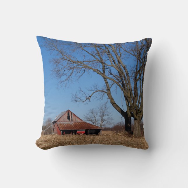Étoile historique en Illinois, Coussin des Etats-U (Recto)
