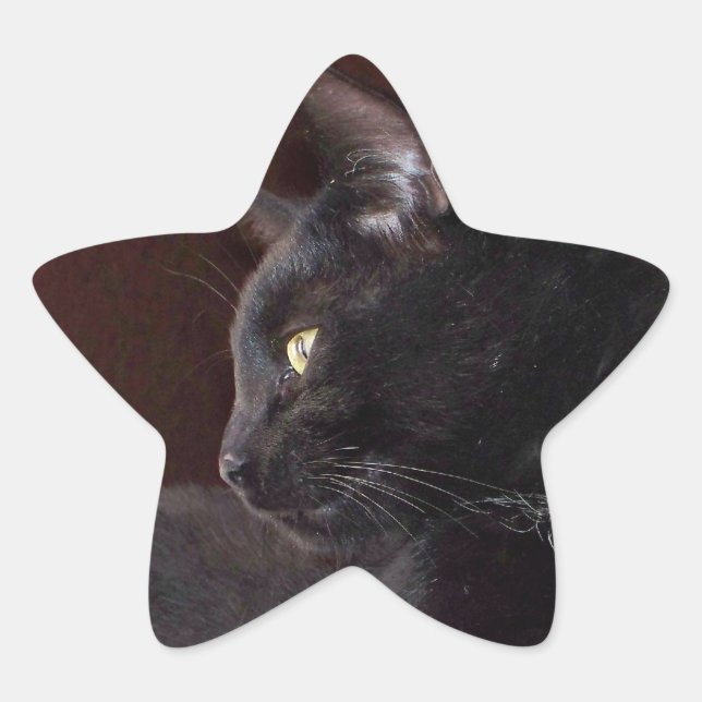 Étoile Portrait de mon garçon, Sticker Charlie Star (Devant)