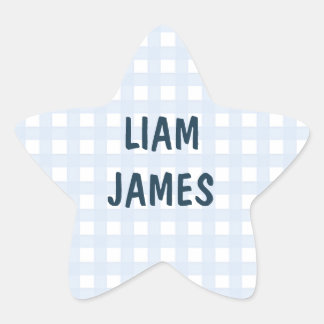 Étoile Starry Gingham Baby Boy Envelope Sticker