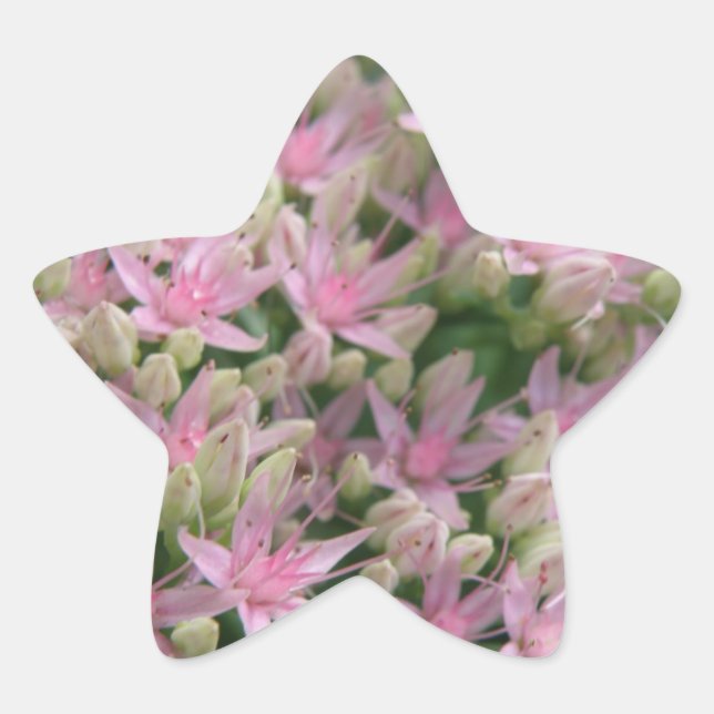 Étoile Sticker Joli rose Fleurs Tropicales (Devant)