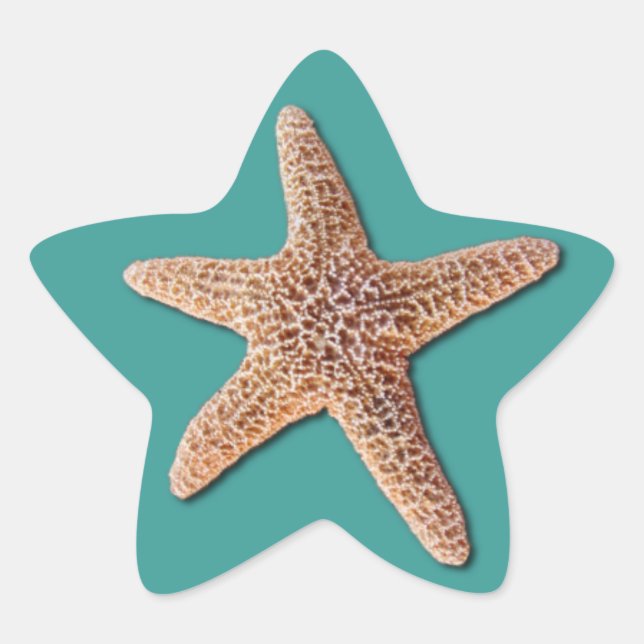 Étoile Sticker Starfish - Turquoise (Devant)