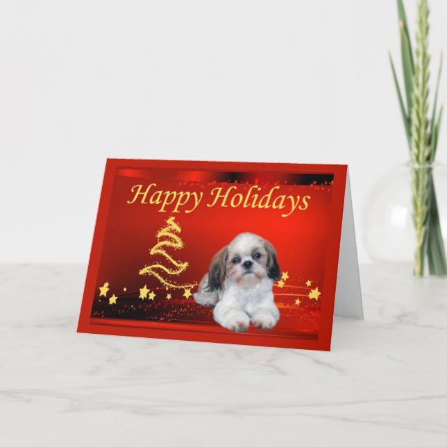 Étoiles de carte de Noël de Shih Tzu (Devant)