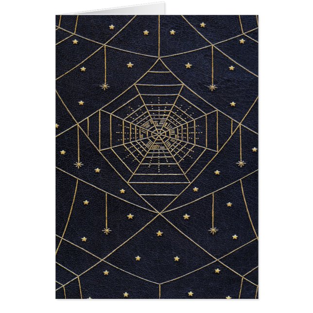 Étoiles de soie d'araignée tombée (Devant)