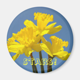 Étoiles ! Jonquilles jaunes magnets Ciel bleu flor