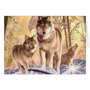 "Étoiles sous la neige "