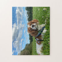 Étonnant Cavalier King Charles Spaniel Puzzle