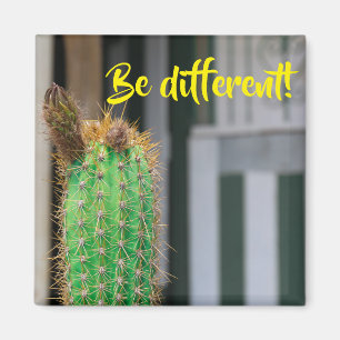 Être un autre aimant d'inspiration de cactus