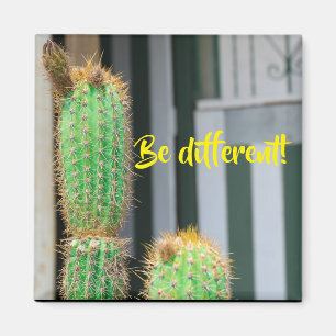 Être un autre aimant d'inspiration de cactus