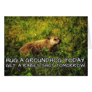 Étreignez un groundhog aujourd'hui. Attrapez une