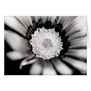 Étude de fleur