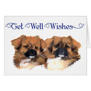 Étude de la tête des Espagnols tibétains