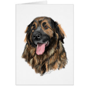 Étude de tête de Leonberger