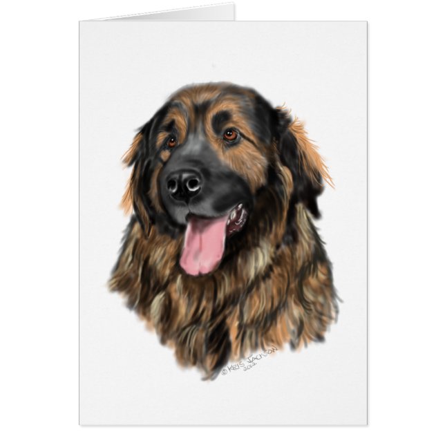 Étude de tête de Leonberger (Devant)