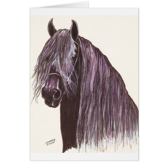 Étude du cheval friésien (Devant)