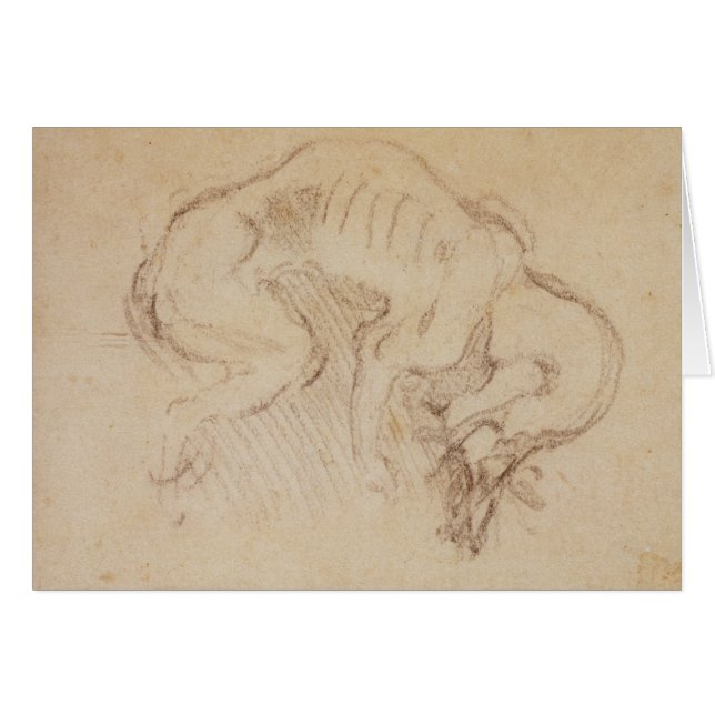 Étude d'un chien (Devant horizontal)
