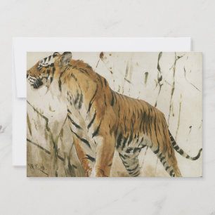 Étude d'un tigre   Wilhelm Kuhnert