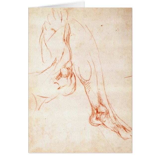 Étude d'une jambe et d'un pied inférieurs (Devant)