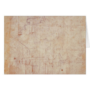 Étude d'une tête, 1525-26