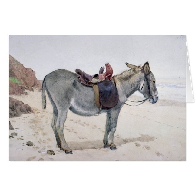 Études des animaux (Devant horizontal)