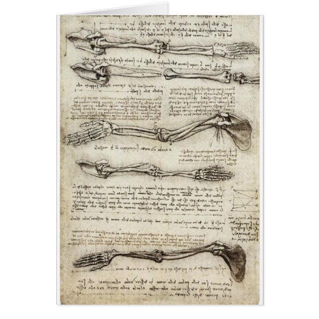 Études du bras par Leonardo da Vinci C. 1510 (Devant)