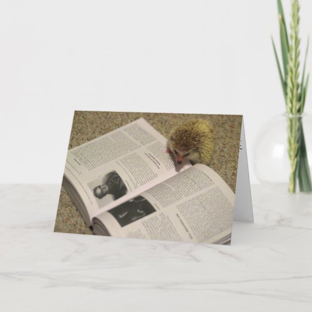 Étudier la carte d'études de hérisson (Devant)