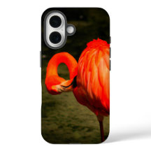 ÉTUI DE TÉLÉPHONE APPLE iPHONE AVEC UN DESIGN FLAM