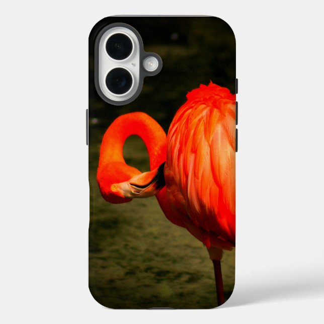 ÉTUI DE TÉLÉPHONE APPLE iPHONE AVEC UN DESIGN FLAM (Verso)