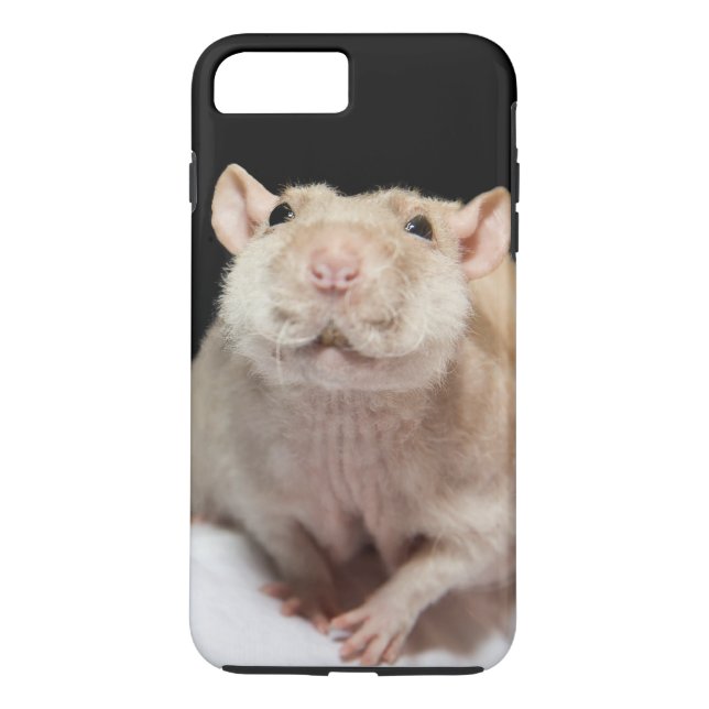 Étui de téléphone Rat (Dos)