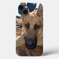 Berger allemand - Naps de chats, iPhone 13 Coque