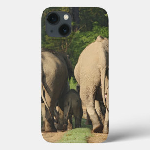 Etui iPhone 13 Eléphants indiens sur la piste de la jungle, Corbe