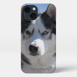 Etui iPhone 13 Husky coque iphone Personnalisé Husky Malamute Coq