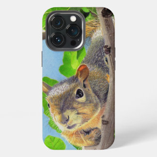 Etui iPhone 13 Pro Coque pour iPhone / iPad