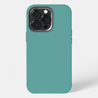 Etui iPhone 13 Pro iPhone 13 pro coque