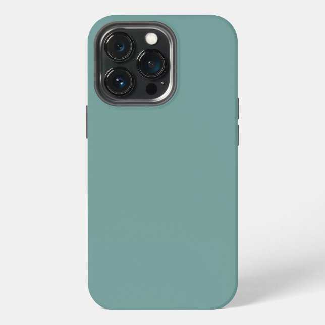 Etui iPhone 13 Pro iPhone 13 pro coque (Dos)