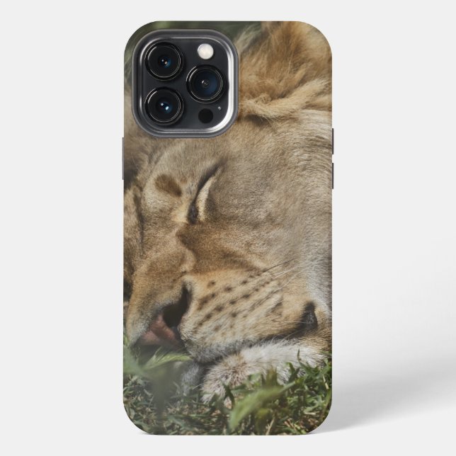 Etui iPhone 13 Pro Max Coque animal-coque iphone d'accouplement (Verso)
