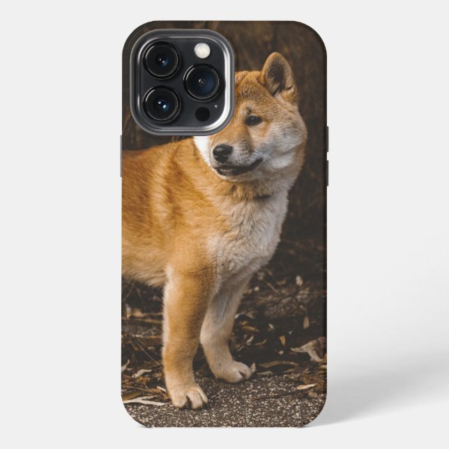 Etui iPhone 13 Pro Max Coque de chien-coque iphone (Verso)