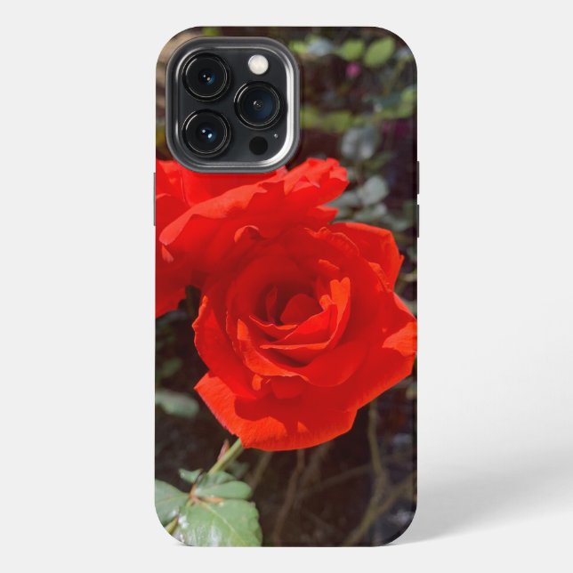 Etui iPhone 13 Pro Max Coque Red Rose iPhone 13 Pro Max (Verso)
