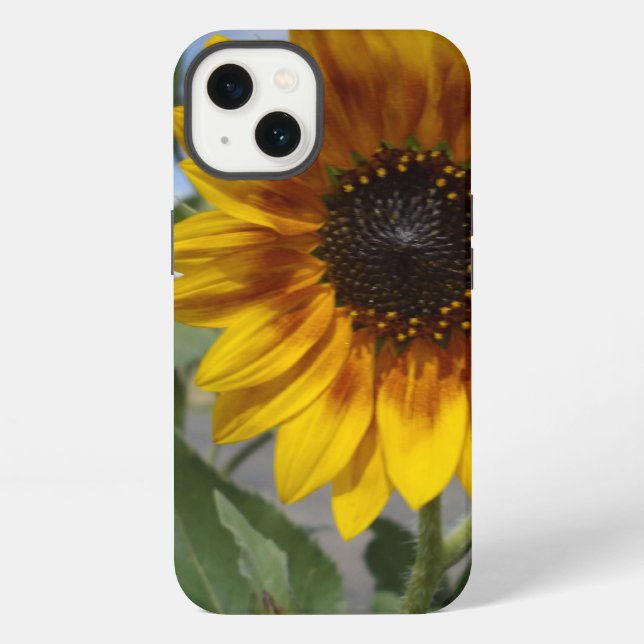 Etui iPhone 13 Tournesol jaune doré, Coque iPhone 13 (Verso)