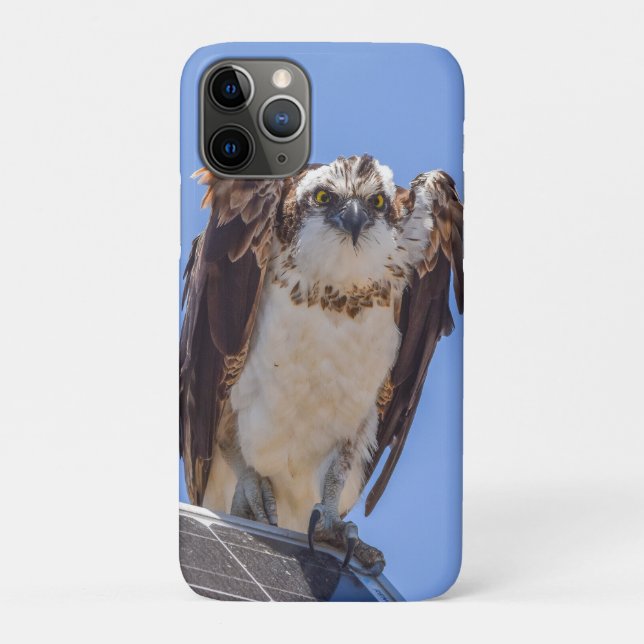 Étui iPhone Balbuzard | Art de photographie d'oise (Dos)