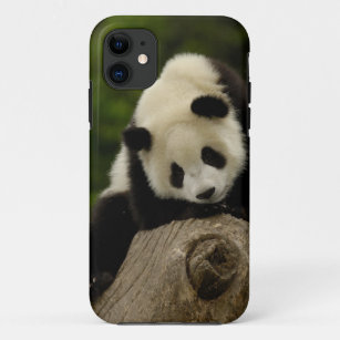 Etui iPhone Case-Mate Bébé de panda géant (melanoleuca d'Ailuropoda) 2