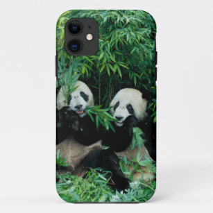 Etui iPhone Case-Mate Deux pandas mangeant le bambou ensemble, Wolong, 2