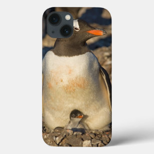 Etui iPhone Case-Mate pingouin de gentoo, Pygoscelis Papouasie, avec