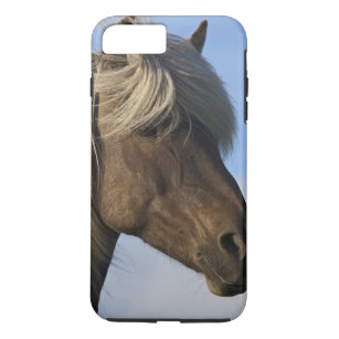 Coque iPhone 8 Plus/7 Plus Tête de cheval islandais, Islande