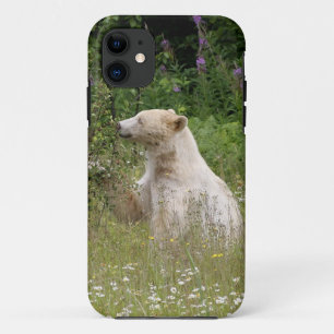 Étui iPhone faune Kermode Spirit Bear