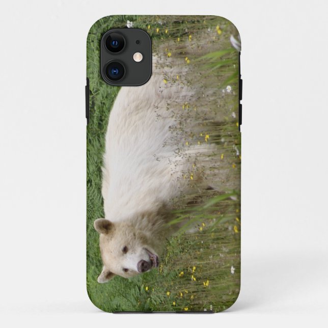 Étui iPhone faune ours Kermode (Dos)
