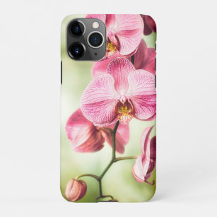 Coque iPhone Orchidée rose
