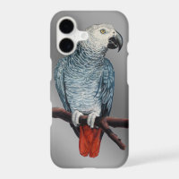 Étui iPhone perroquet Étui mobile perroquet gris a